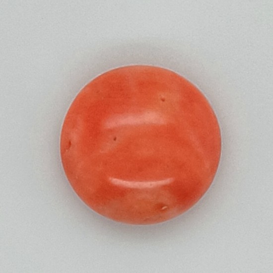 Coral (Moonga) 4.93 Ct Certified Coral (Moonga) 4.93 Ct Certified